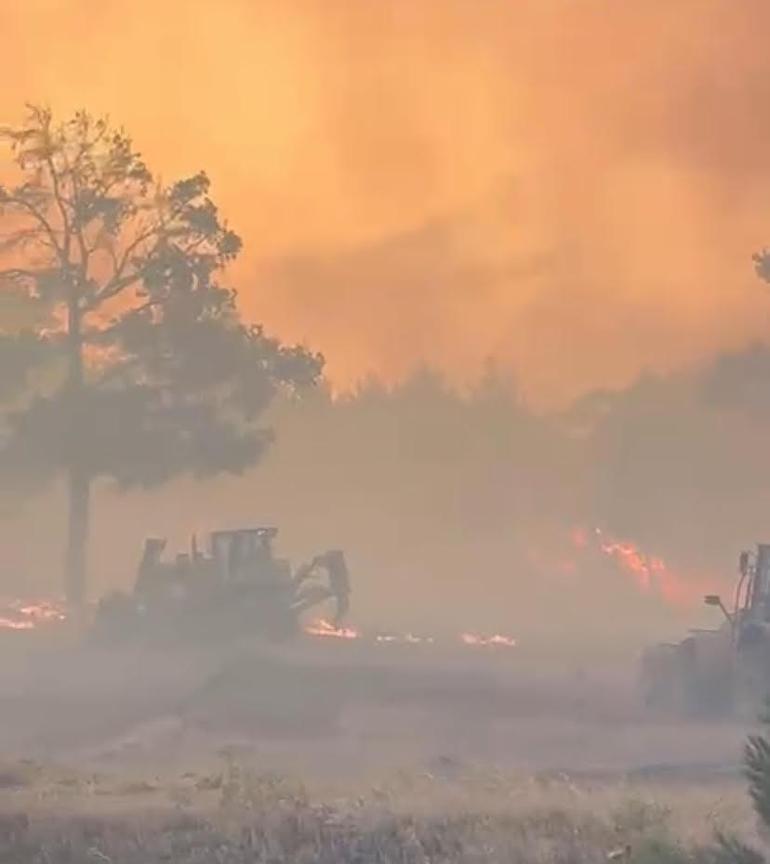 Akhisarda orman yangını