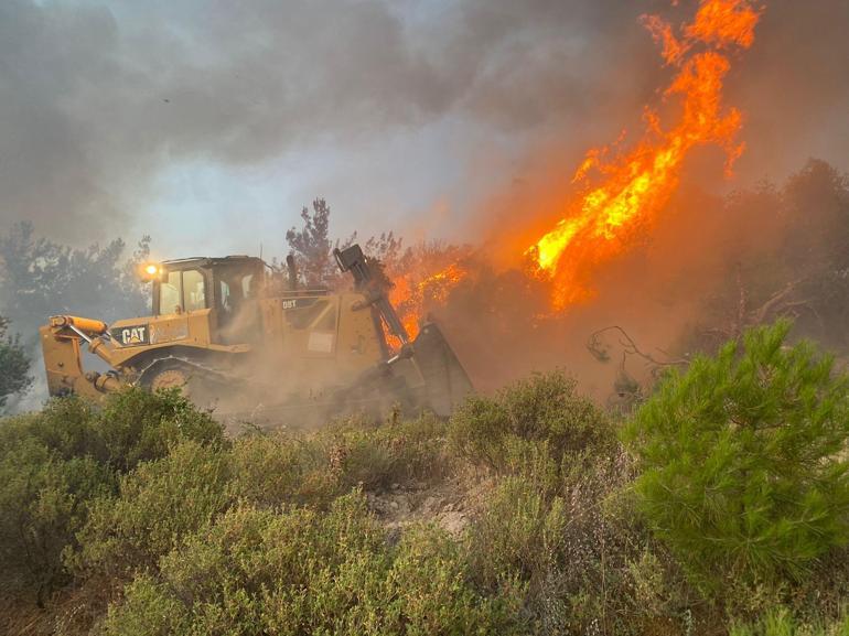 Akhisarda orman yangını