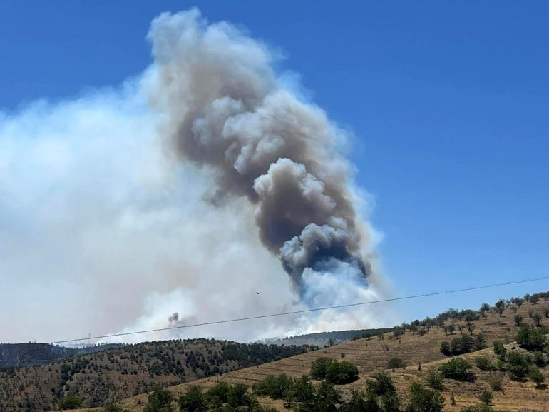 Ankarada Eymir Gölü çevresindeki ormanda yangın