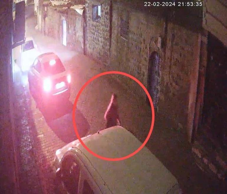 Hemşire Pınarın şüpheli ölümünde adli tıp raporu: İntihar olduğu söylenemez