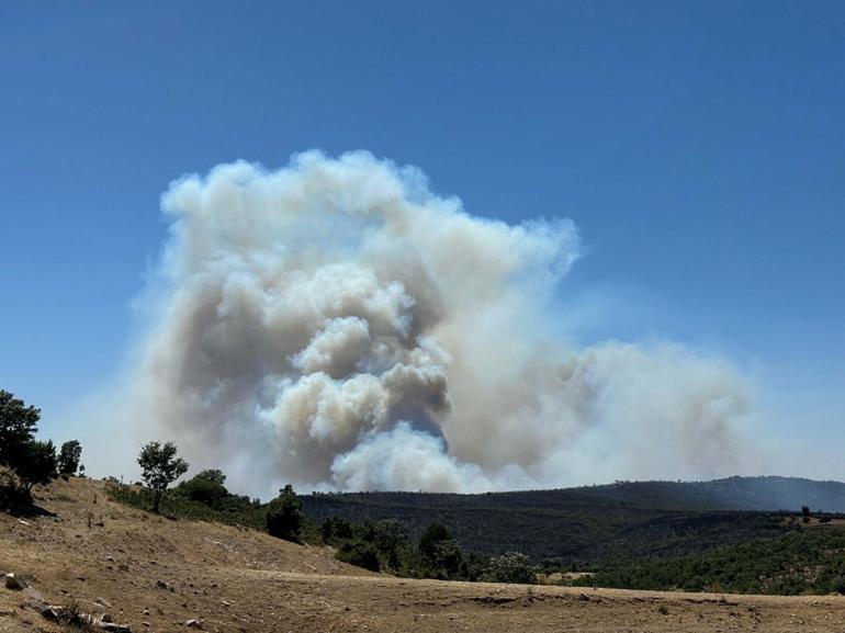 Uşakta meşelik ve orman yangını