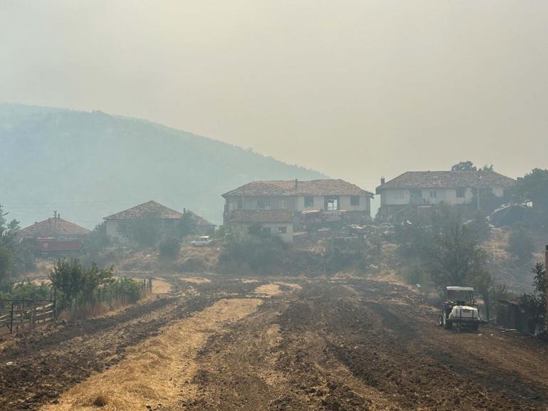 Uşakta meşelik ve orman yangını