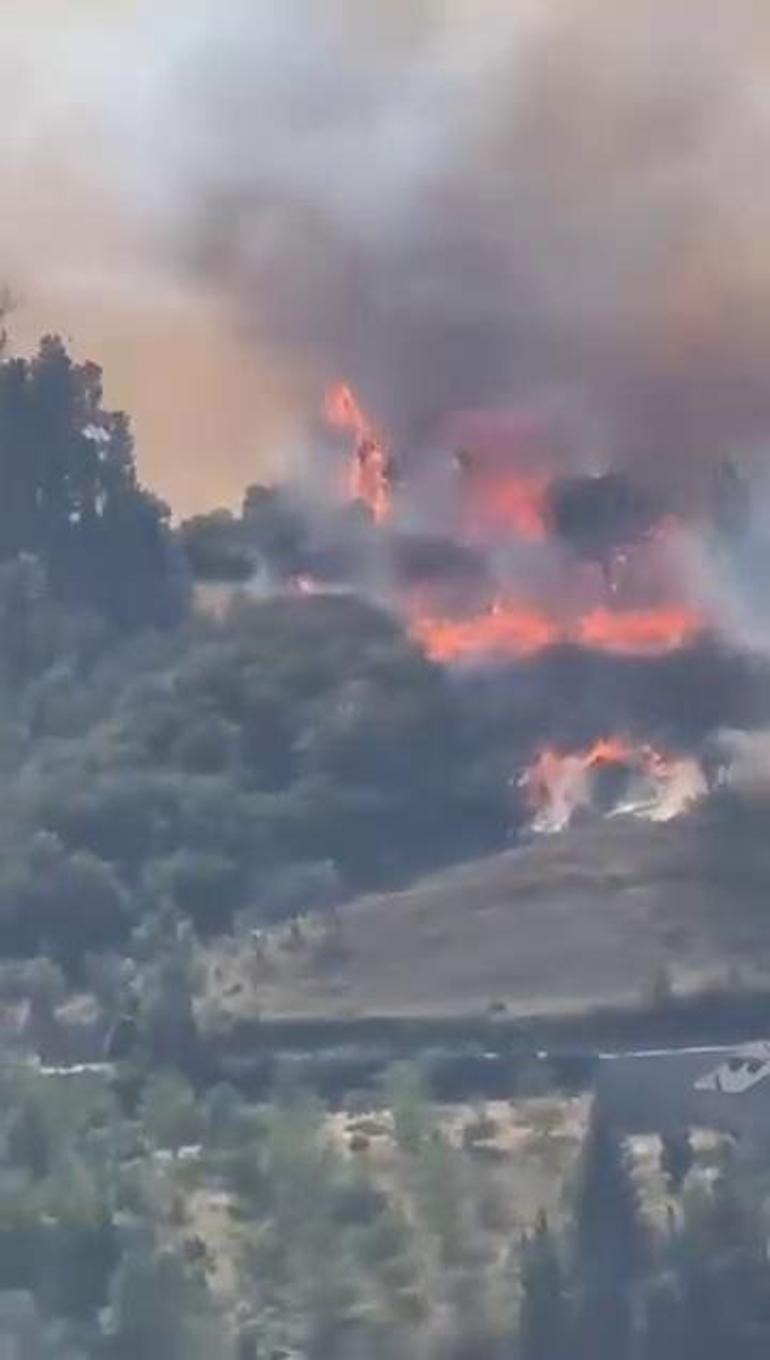 Kocaelideki orman yangını kontrol altında