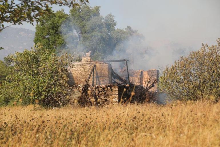 Antalyada orman yangınları kontrol altında