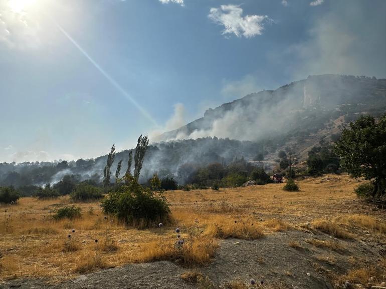 Diyarbakırda çıkan örtü yangını kontrol altında