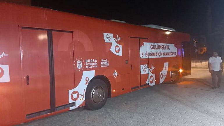 Bursada orman yangını