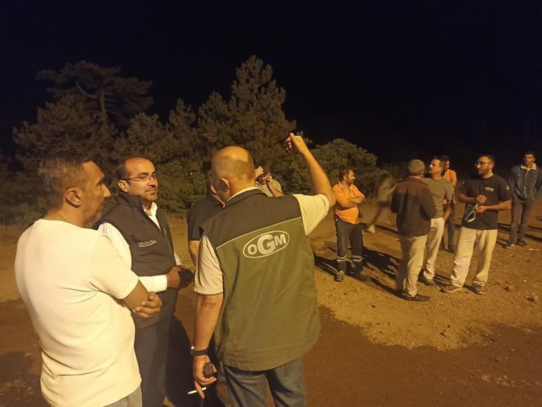 Bursada orman yangını