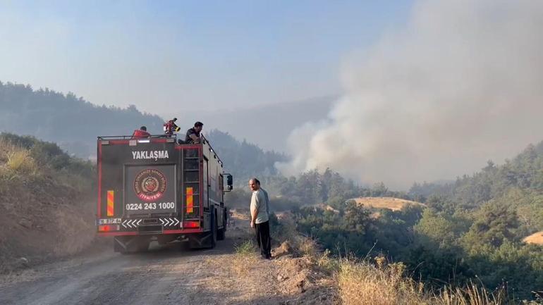 Bursa’daki yangın bölgesi dronla görüntülendi; 3 ölü