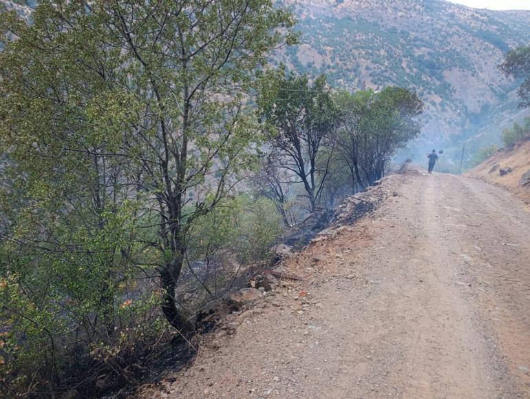 Elazığ’da örtü yangını; ekipler müdahale ediyor