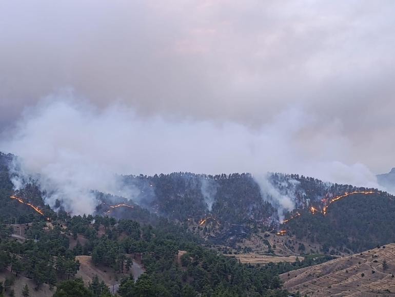 Kahramanmaraş’ta orman yangını