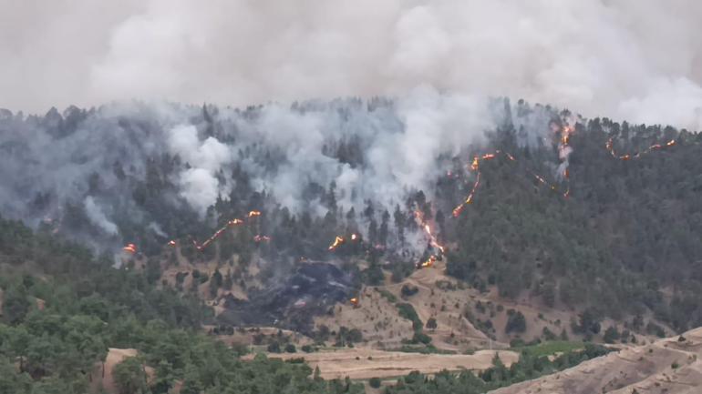 Kahramanmaraş’ta orman yangını