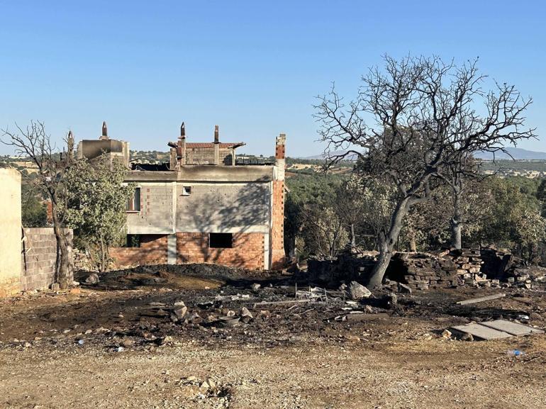 Uşakta meşelik alan ve ormanda çıkan 2 yangın kontrol altına alındı