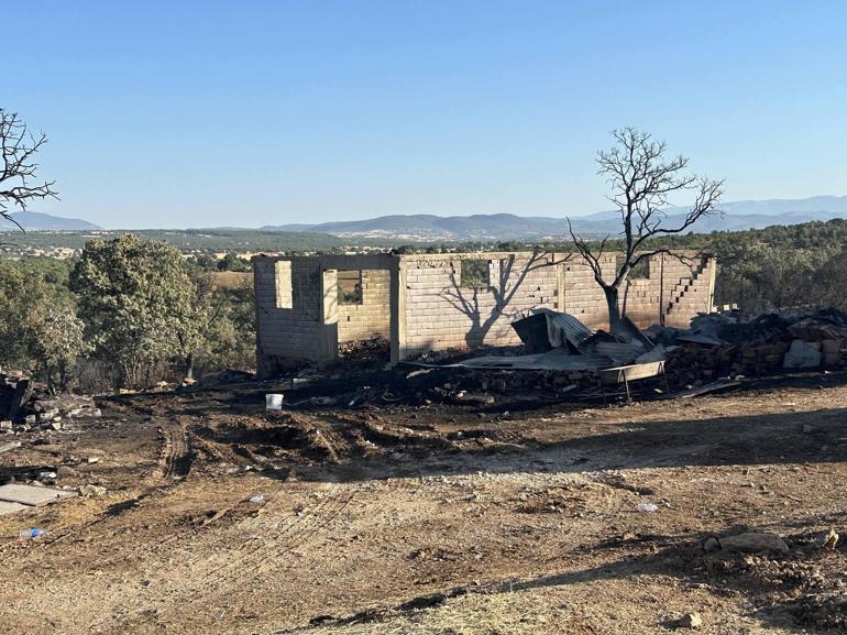 Uşakta meşelik alan ve ormanda çıkan 2 yangın kontrol altına alındı