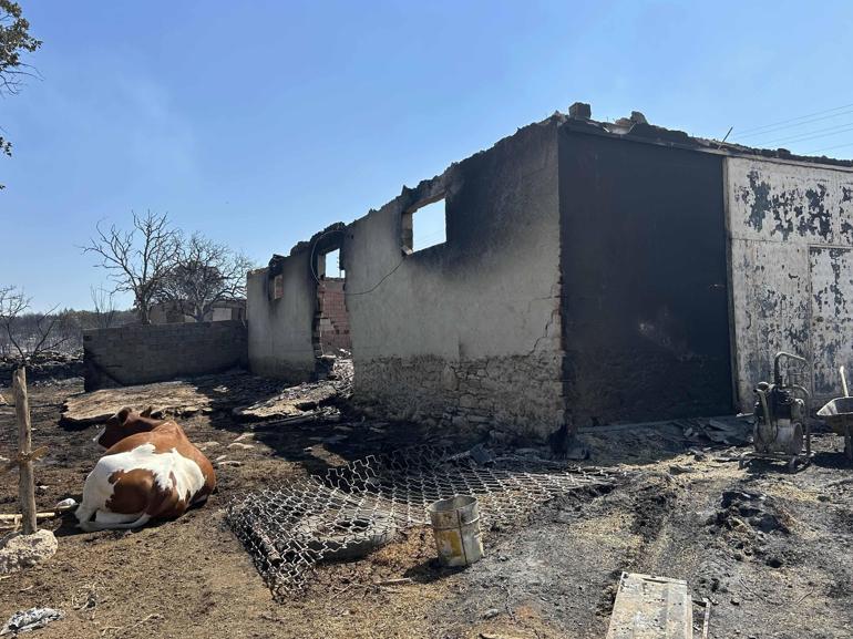 Uşakta meşelik alan ve ormanda çıkan 2 yangın kontrol altına alındı