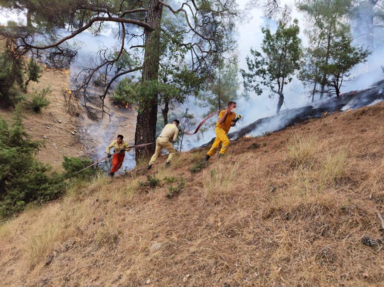 Kahramanmaraş’taki orman yangınında 2nci gün