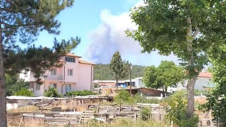 Bursa Orhaneli’de alevler yeniden canlandı