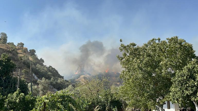 Aydın’da tarım arazisinde yangın