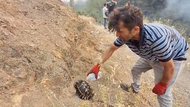 Bursa’daki yangın bölgesi dronla görüntülendi; 3 ölü