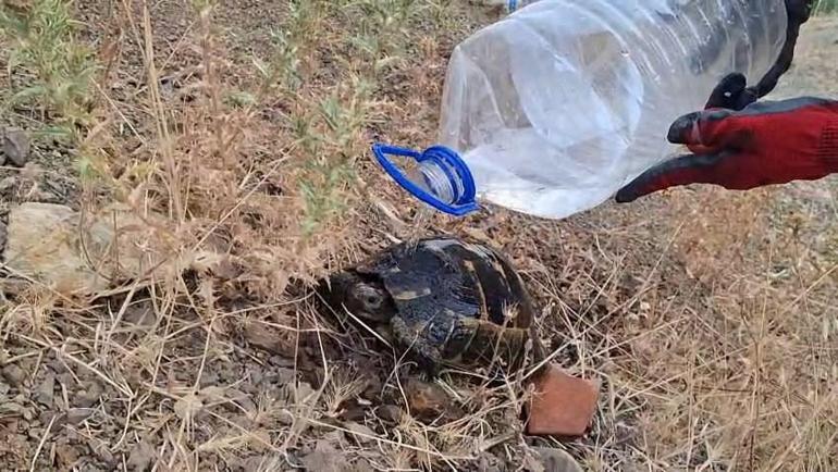 Bursa’daki yangın bölgesi dronla görüntülendi; 3 ölü