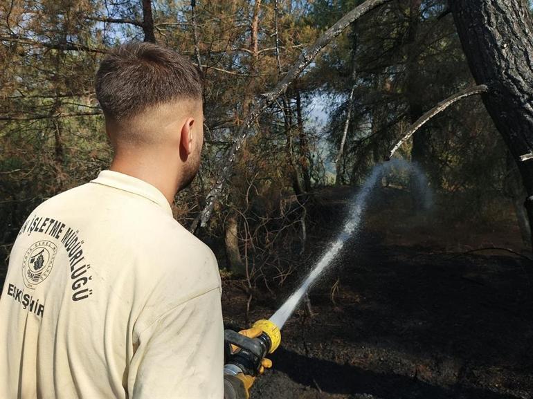 Bursada orman yangınları 3üncü gününde