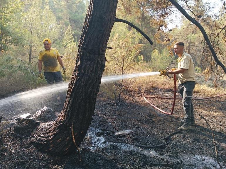Bursada orman yangınları 3üncü gününde