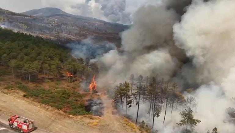Bursada orman yangınları 3üncü gününde
