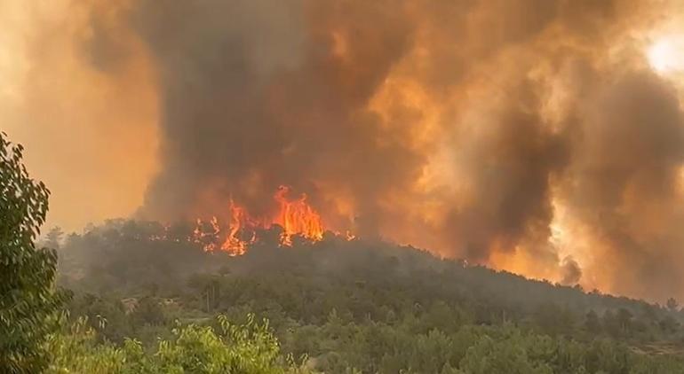 Bursada orman yangınları 3üncü gününde