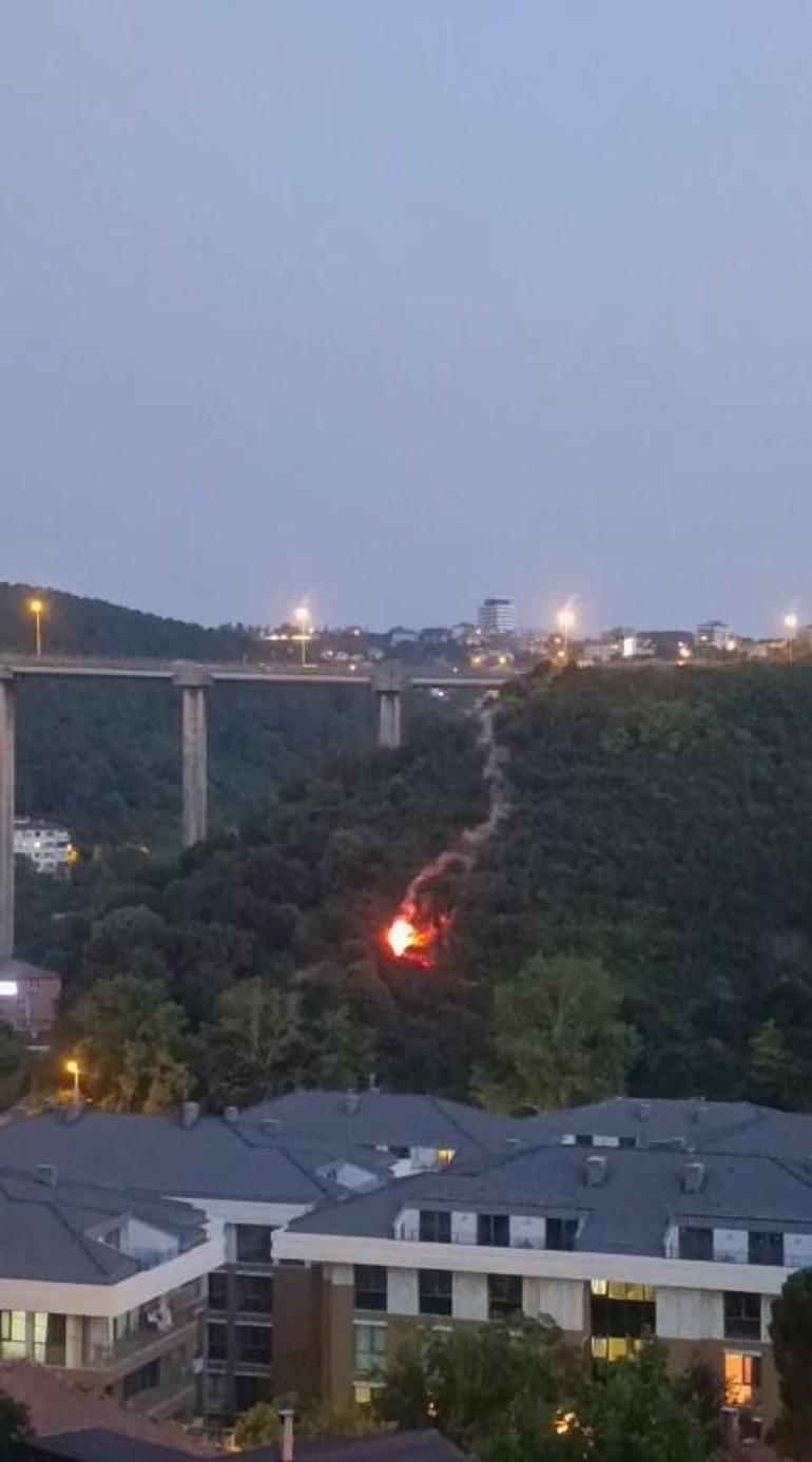 Beykozdaki orman yangınına ilişkin 1 şüpheli gözaltına alındı