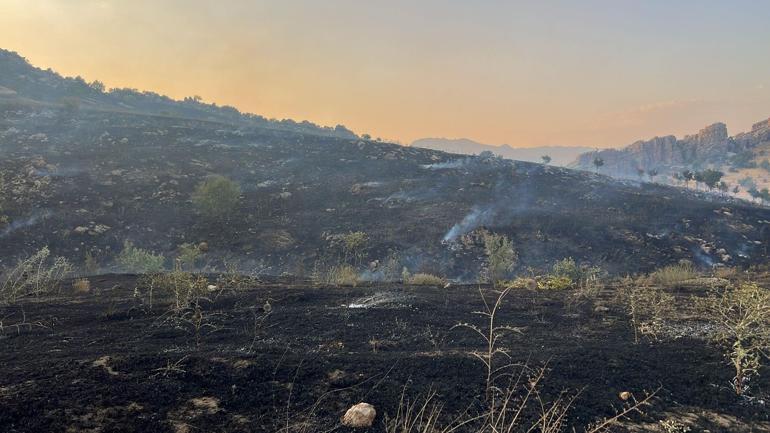 Diyarbakır’da örtü yangınına ekiplerin müdahalesi sürüyor