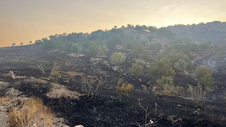 Diyarbakır’da örtü yangınına ekiplerin müdahalesi sürüyor