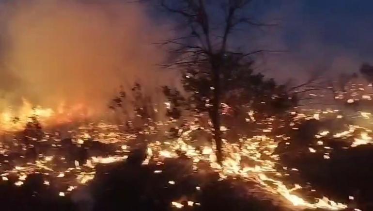 Diyarbakır’da örtü yangınına ekiplerin müdahalesi sürüyor