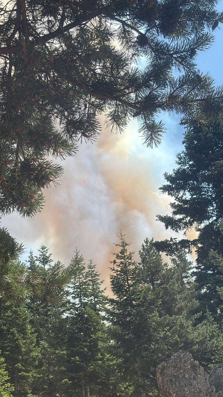 Çankırıda orman yangını