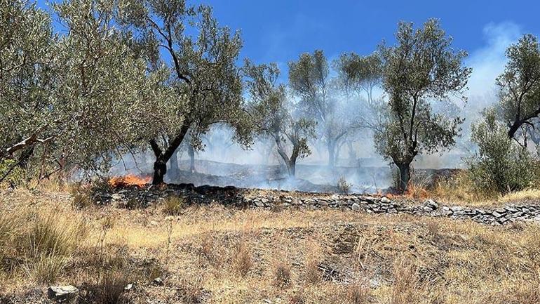 Balıkesirde tarım arazisinde çıkan yangın 2 saatte kontrol altına alındı