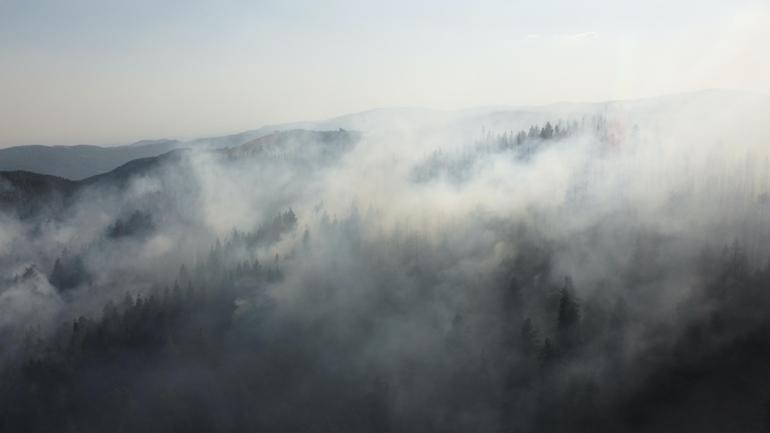 Çankırıda çıkan orman yangını kısmen kontrol altına alındı