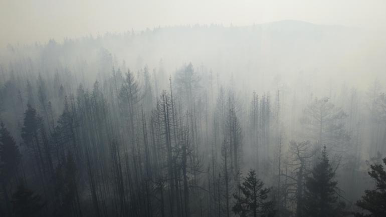 Çankırıda çıkan orman yangını kısmen kontrol altına alındı