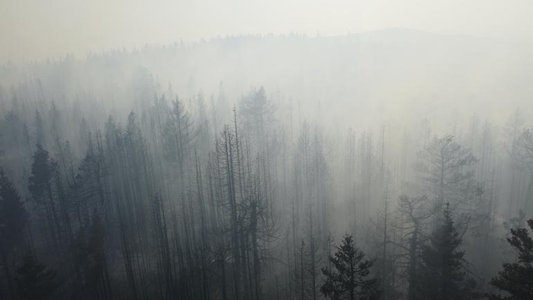 Çankırıda çıkan orman yangını kısmen kontrol altına alındı