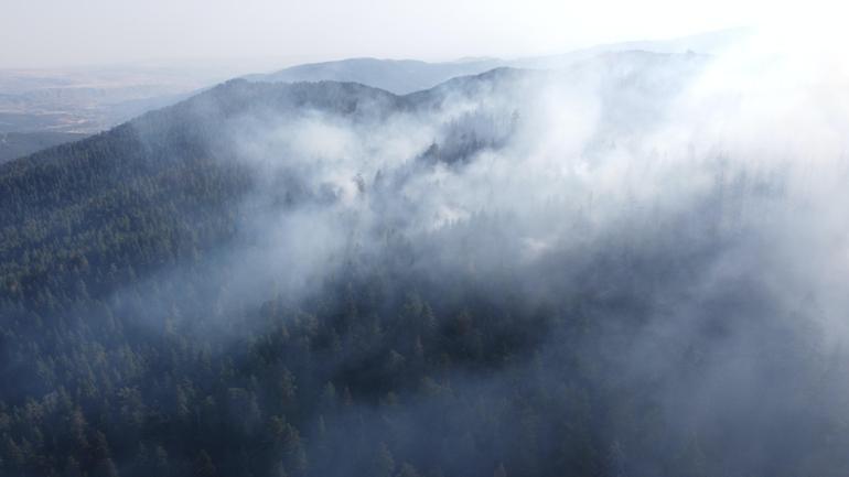 Çankırıda çıkan orman yangını kısmen kontrol altına alındı
