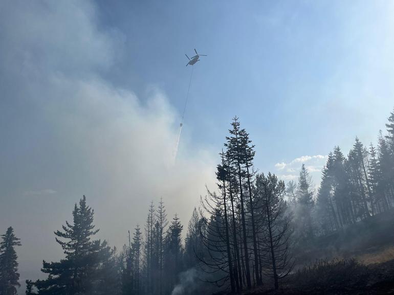 Çankırıdaki orman yangını kontrol altında