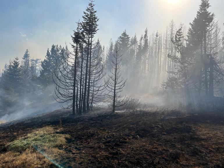 Çankırıdaki orman yangını kontrol altında