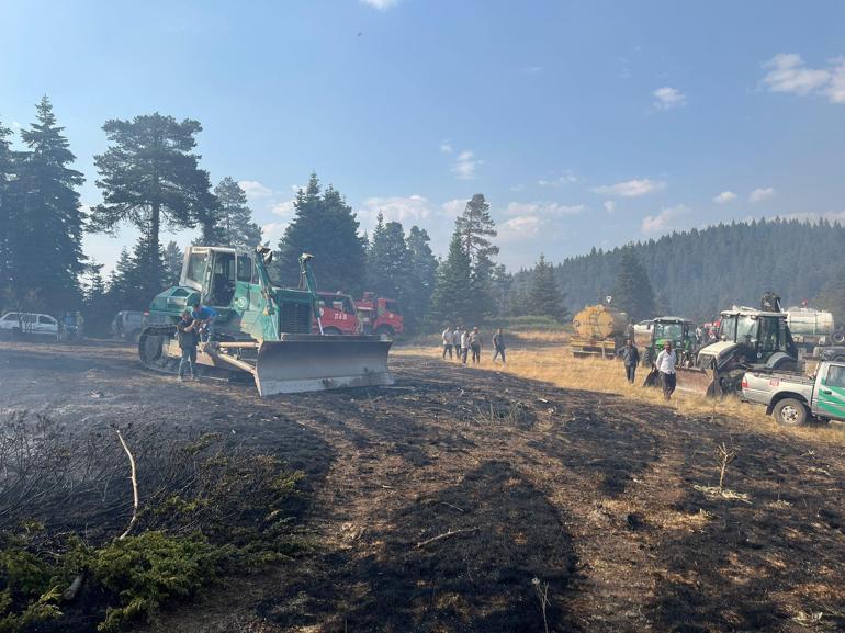 Çankırıdaki orman yangını kontrol altında