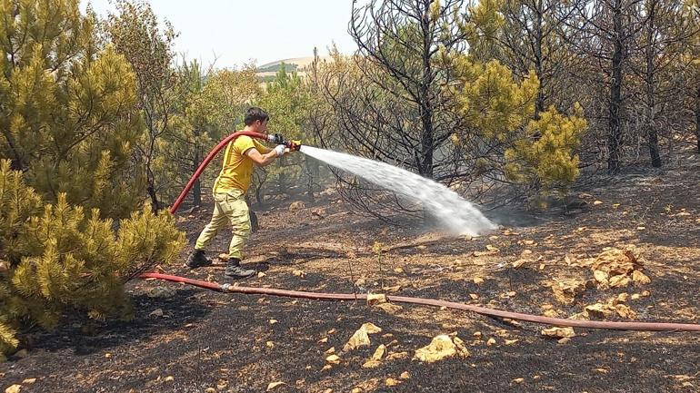 Amasya’da 3 hektar orman yandı