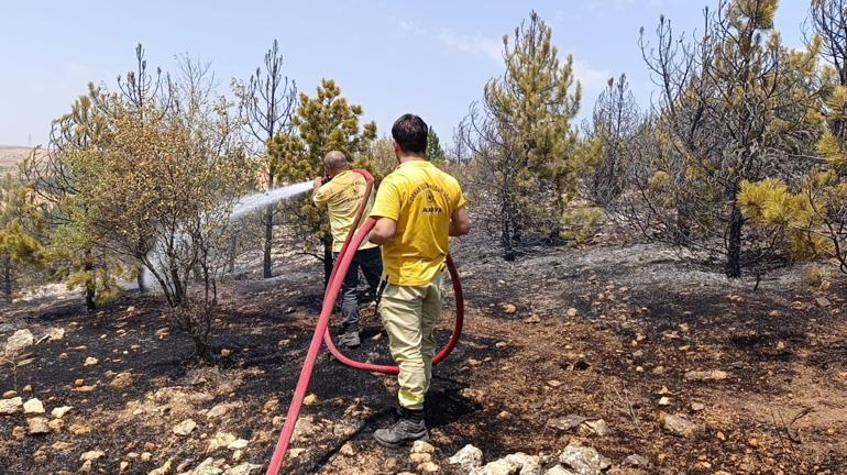 Amasya’da 3 hektar orman yandı