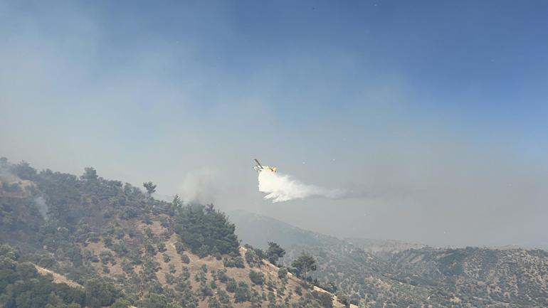 Aydında çıkan orman yangını kontrol altında
