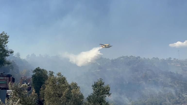 Aydında çıkan orman yangını kontrol altında