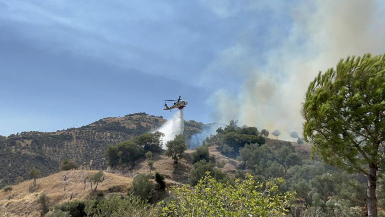 Aydında çıkan orman yangını kontrol altında