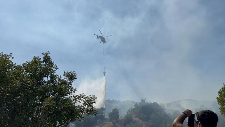 Aydında çıkan orman yangını kontrol altında