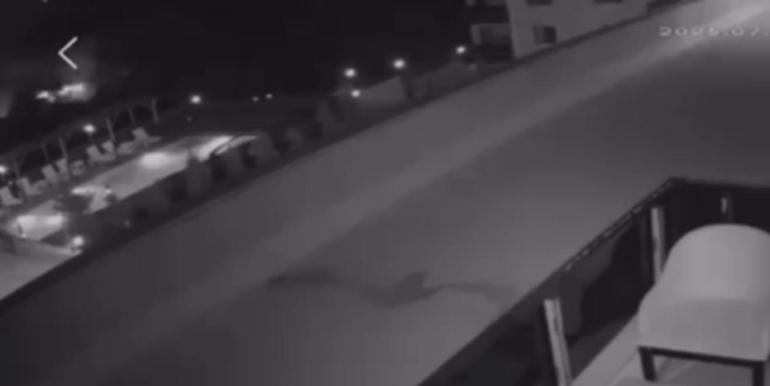 Havai fişek atıp yangın çıkaran 2 kişi, 100’er adet ağaç dikecek