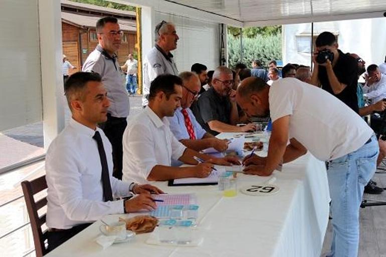 TİGEM tay satışından 45 milyon lira gelir elde etti