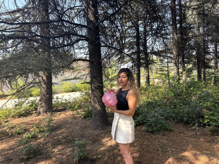Orman yangınlarına pembe kalkan