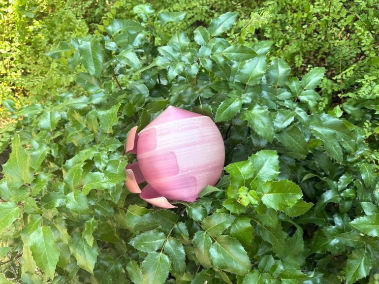 Orman yangınlarına pembe kalkan